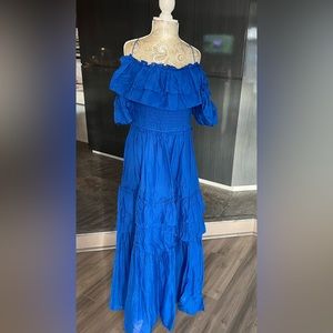 NY&Co Happy Nature Katherine Heigl Royal Blue Maxi Dress